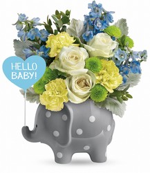 Hello Sweet Baby from Victor Mathis Florist in Louisville, KY